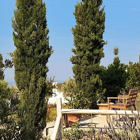 Christou Estate & Villas Pyrgos Kallistis Bagian luar foto