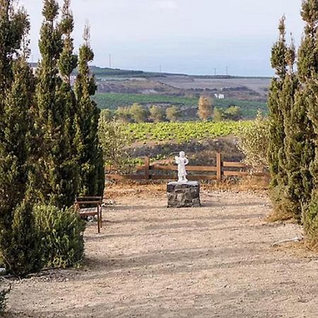 Christou Estate & Villas Pyrgos Kallistis Bagian luar foto